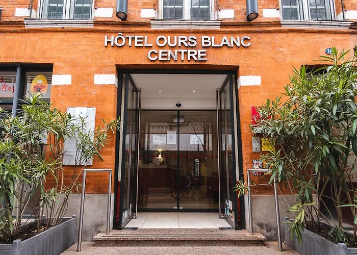 Ours Blanc - CentreHotel Toulouse